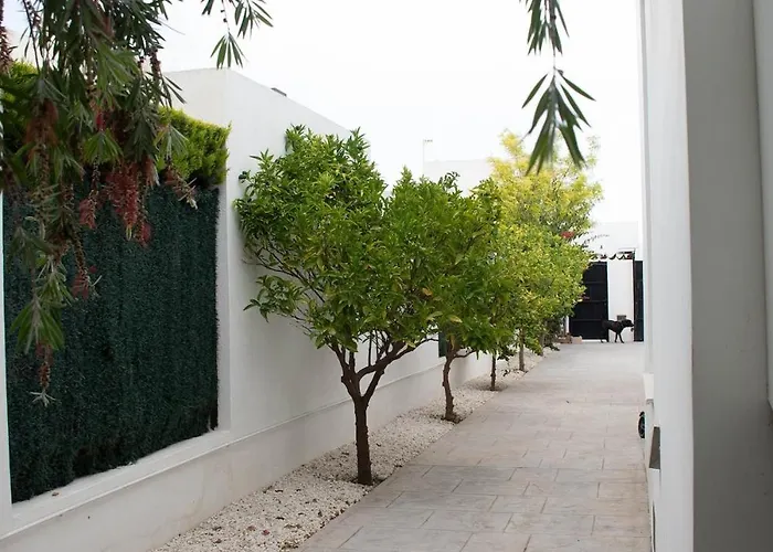 Modern With A Private Pool Villa Polop